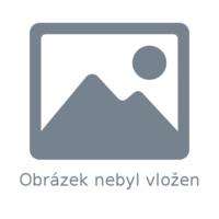 5 osý CNC stroj na výrobu krovů a dřevěných stavebních konstrukcí zafixuje při opracování trám do roviny a přesně opracuje i čerstvé masivní dřevo